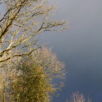 Lumières de giboulées sur le parc du Domaine du Centaure