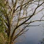 Ciel de giboulées au-dessus du Domaine du Centaure