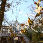 Le printemps s'invite au Domaine du Centaure, notre maison qui tourne