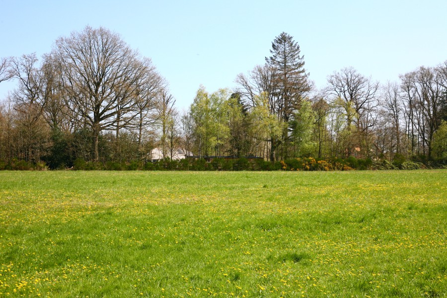 Depuis la D60, vous voyez Le Domaine du Centaure sur votre gauche